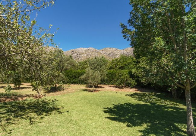 Villa in Pollensa - Ion Villa in Pollensa - Ion