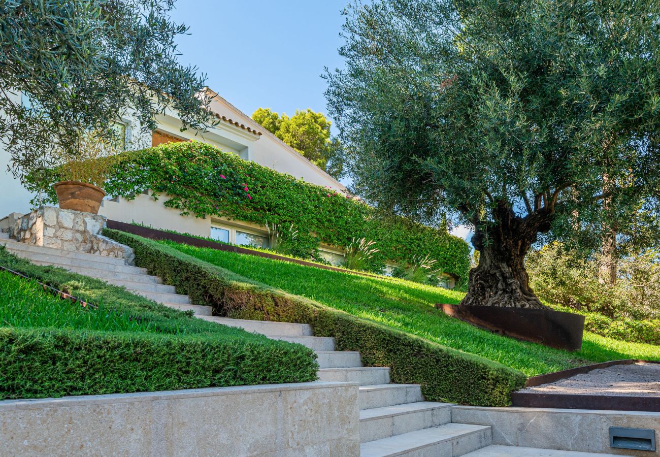 Villa in Cala Vinyes - BelleVue Cala Vinyes