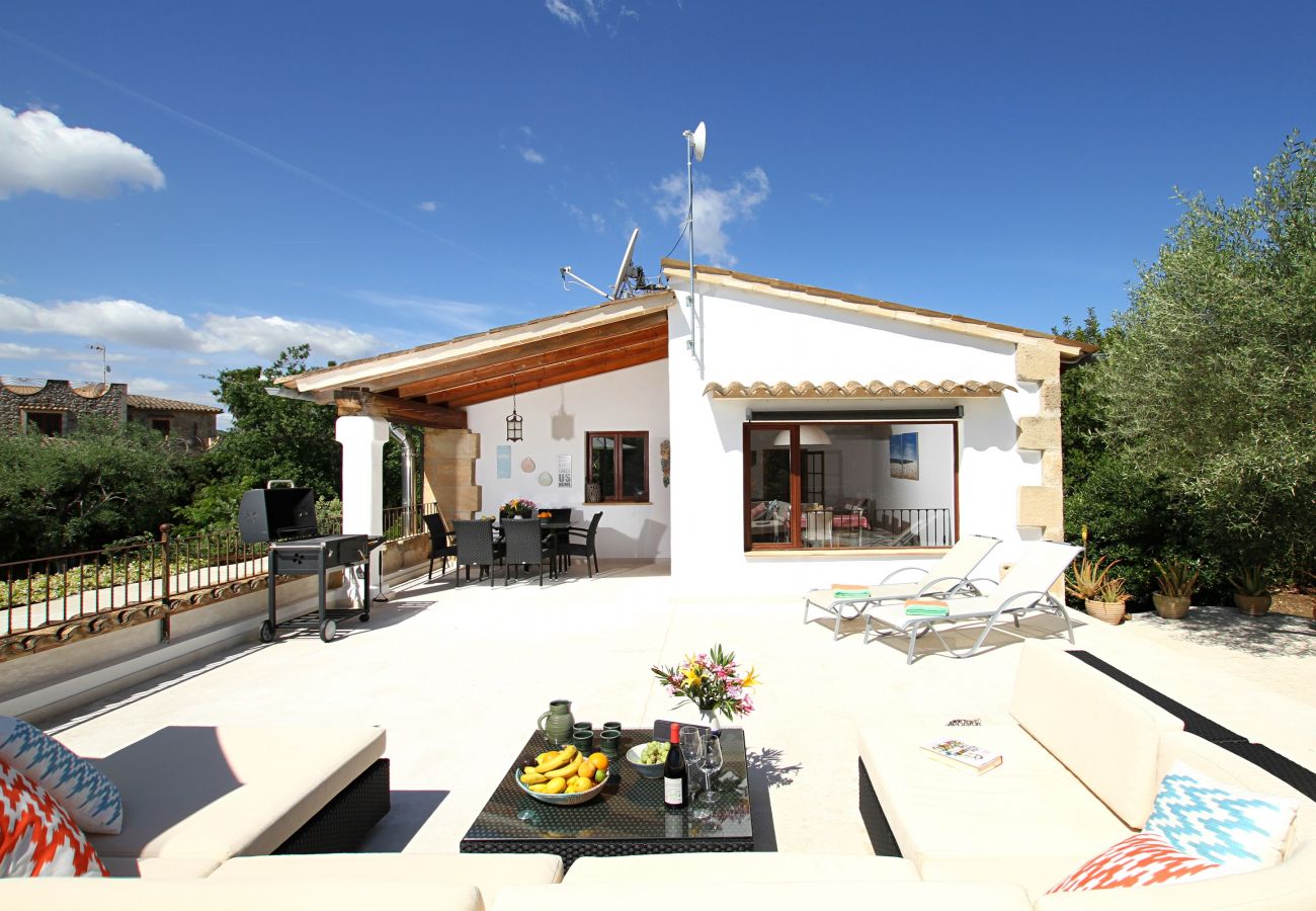 Villa in Pollensa - Can Perro Peludo