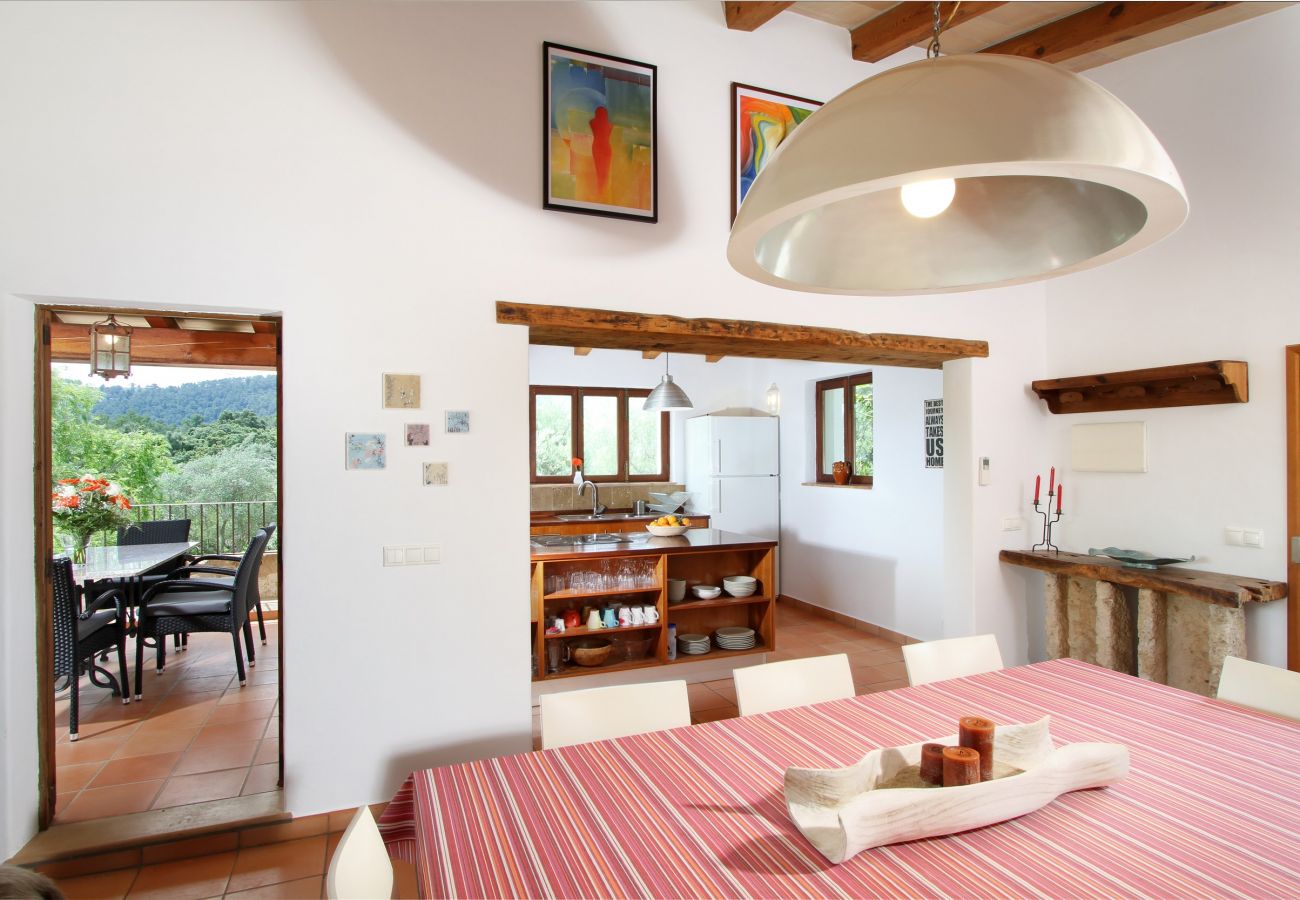 Villa in Pollensa - Can Perro Peludo