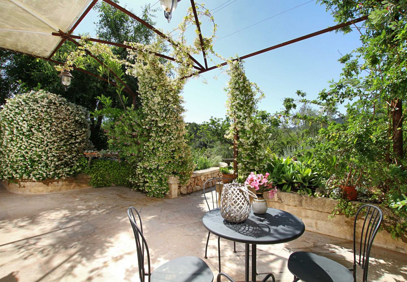 Villa in Pollensa - Can Perro Peludo