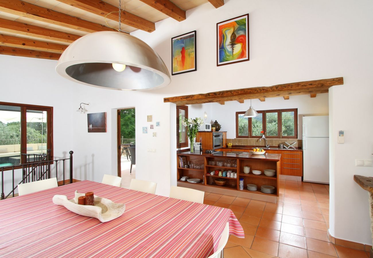 Villa in Pollensa - Can Perro Peludo