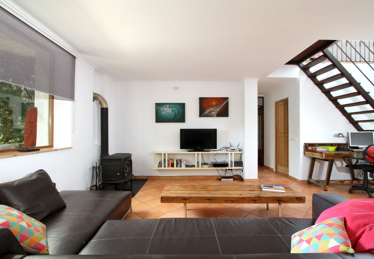 Villa in Pollensa - Can Perro Peludo