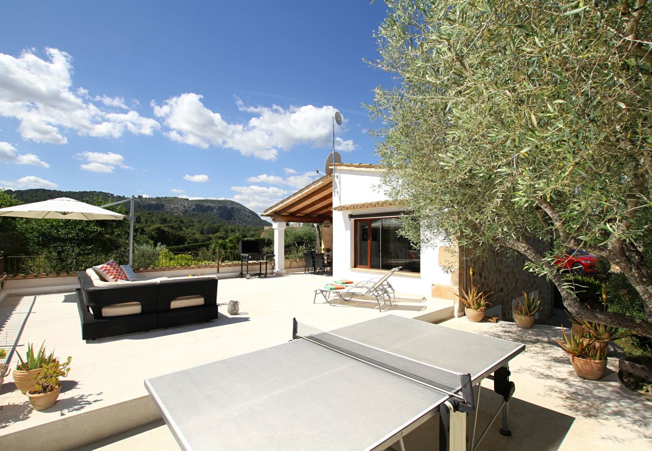 Villa in Pollensa - Can Perro Peludo