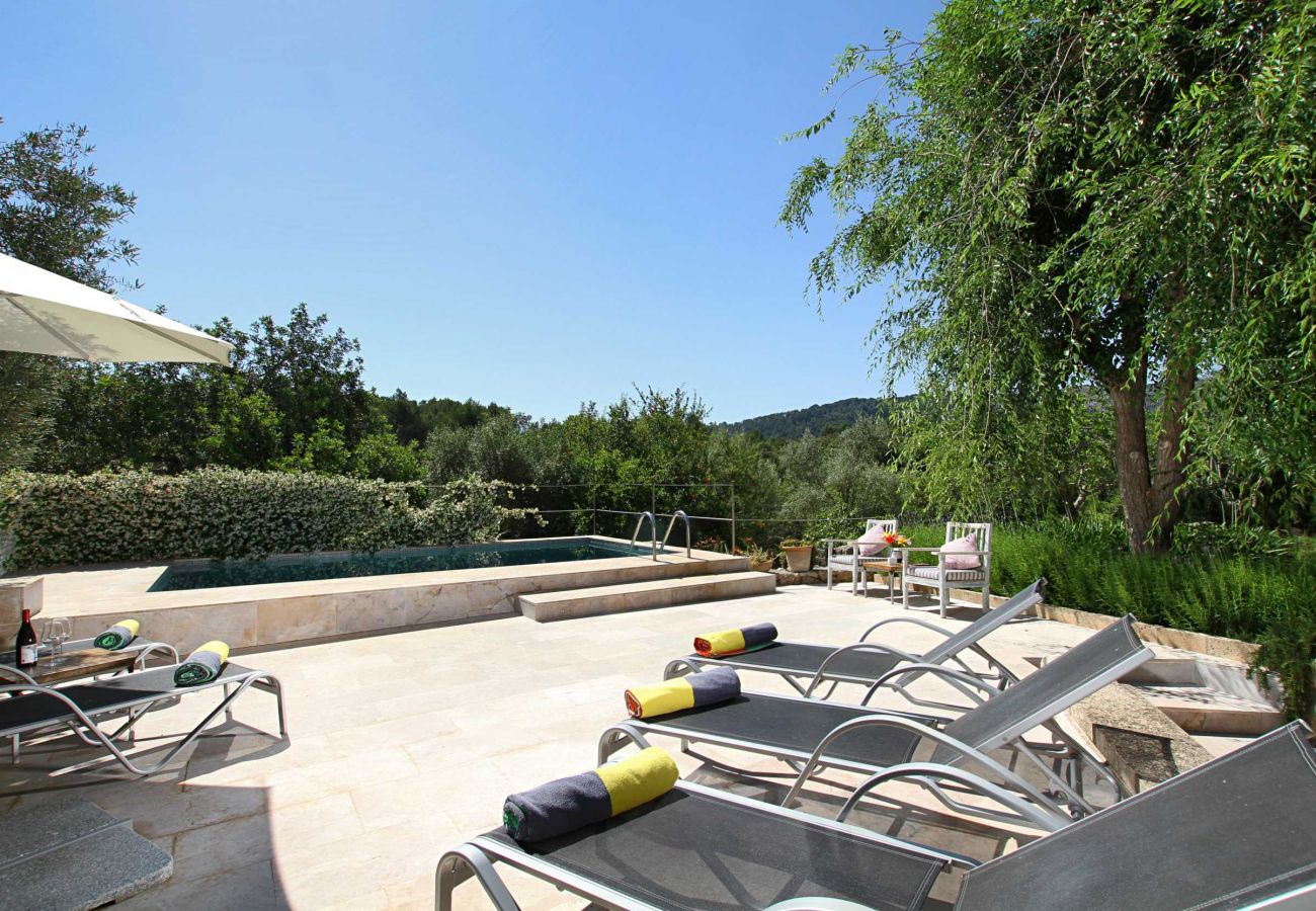 Villa in Pollensa - Can Perro Peludo