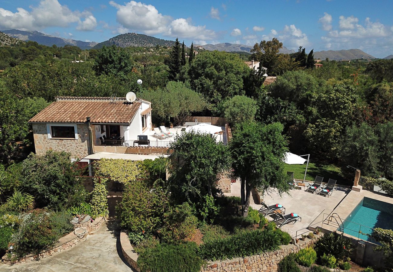 Villa in Pollensa - Can Perro Peludo