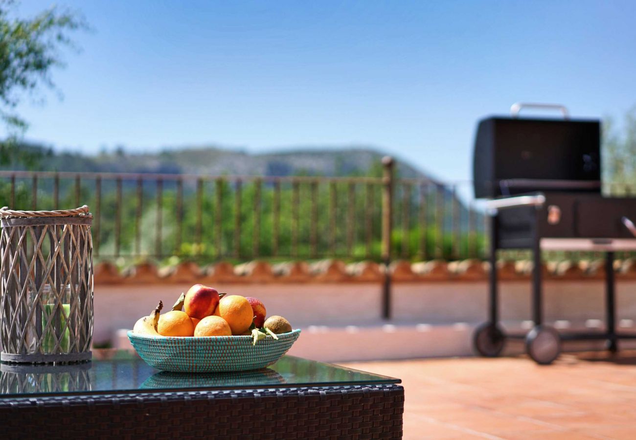 Villa in Pollensa - Can Perro Peludo