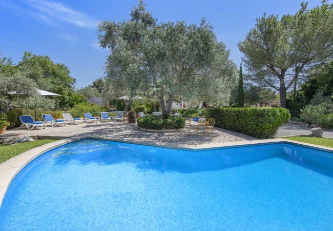 Villa in Pollensa - Cal Perdiu Vell Villa in Pollensa - Cal Perdiu Vell