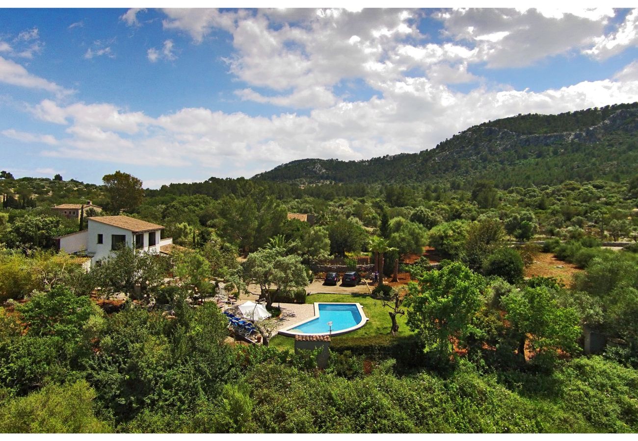 Villa in Pollensa - Cal Perdiu Vell