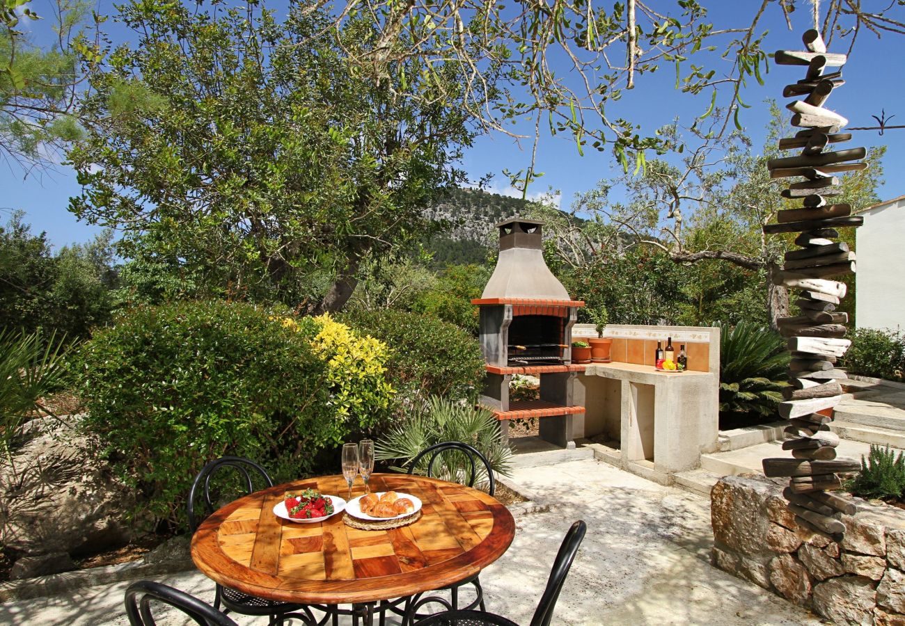 Villa in Pollensa - Cal Perdiu Vell