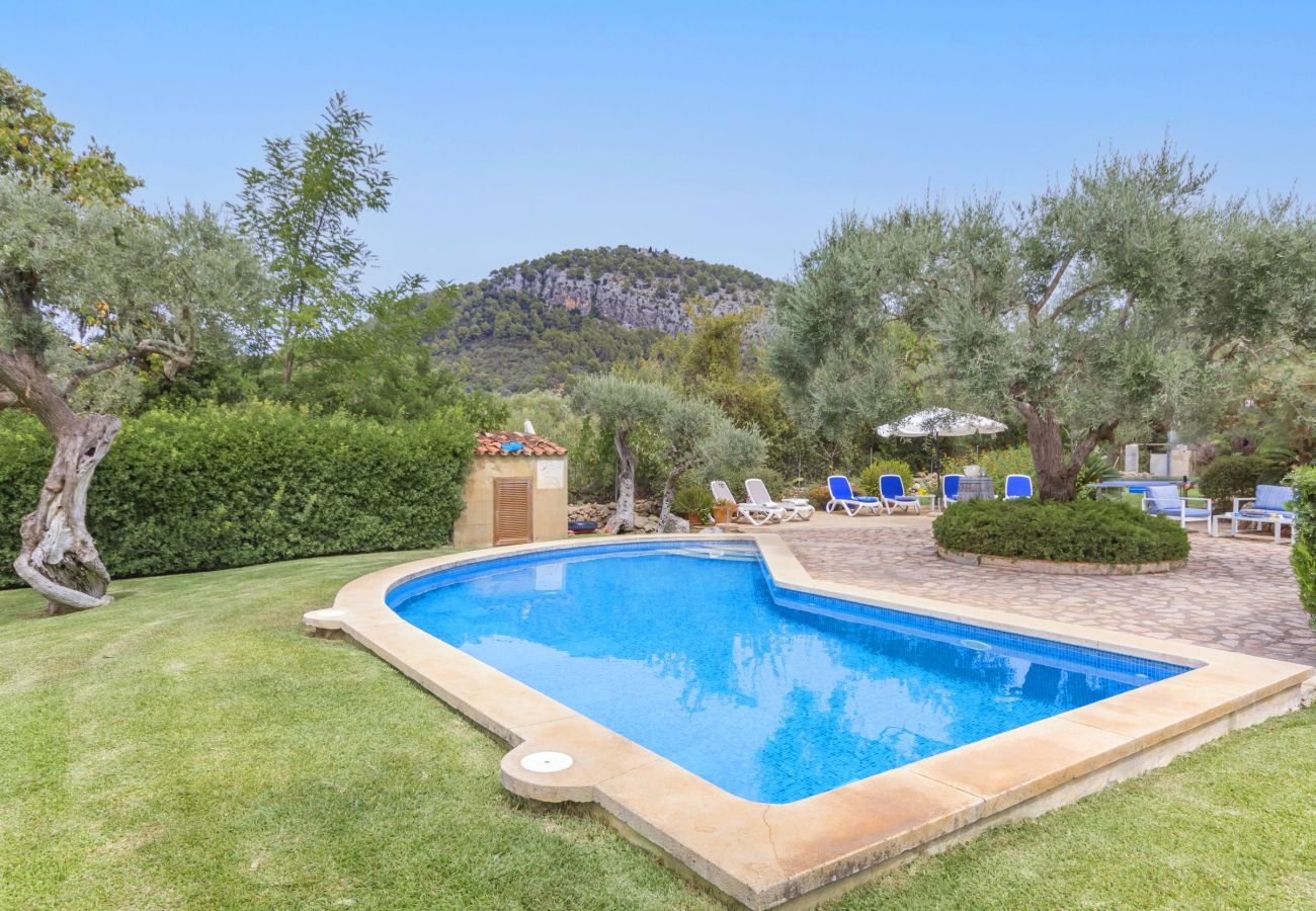 Villa in Pollensa - Cal Perdiu Vell