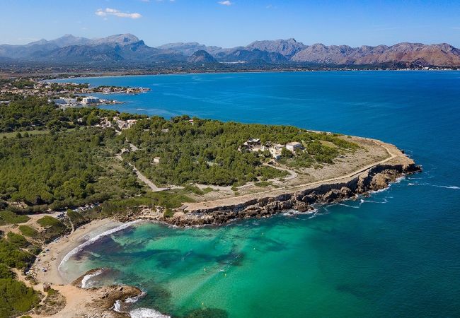 Villa in Alcudia - Modern Mal Pas