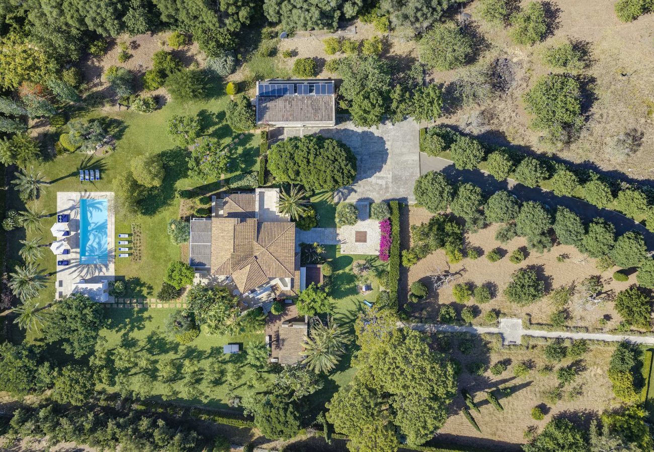 Villa in Puerto Pollensa - Finca Playa Llenaire