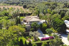 Villa in Pollensa - Finca Playa Llenaire