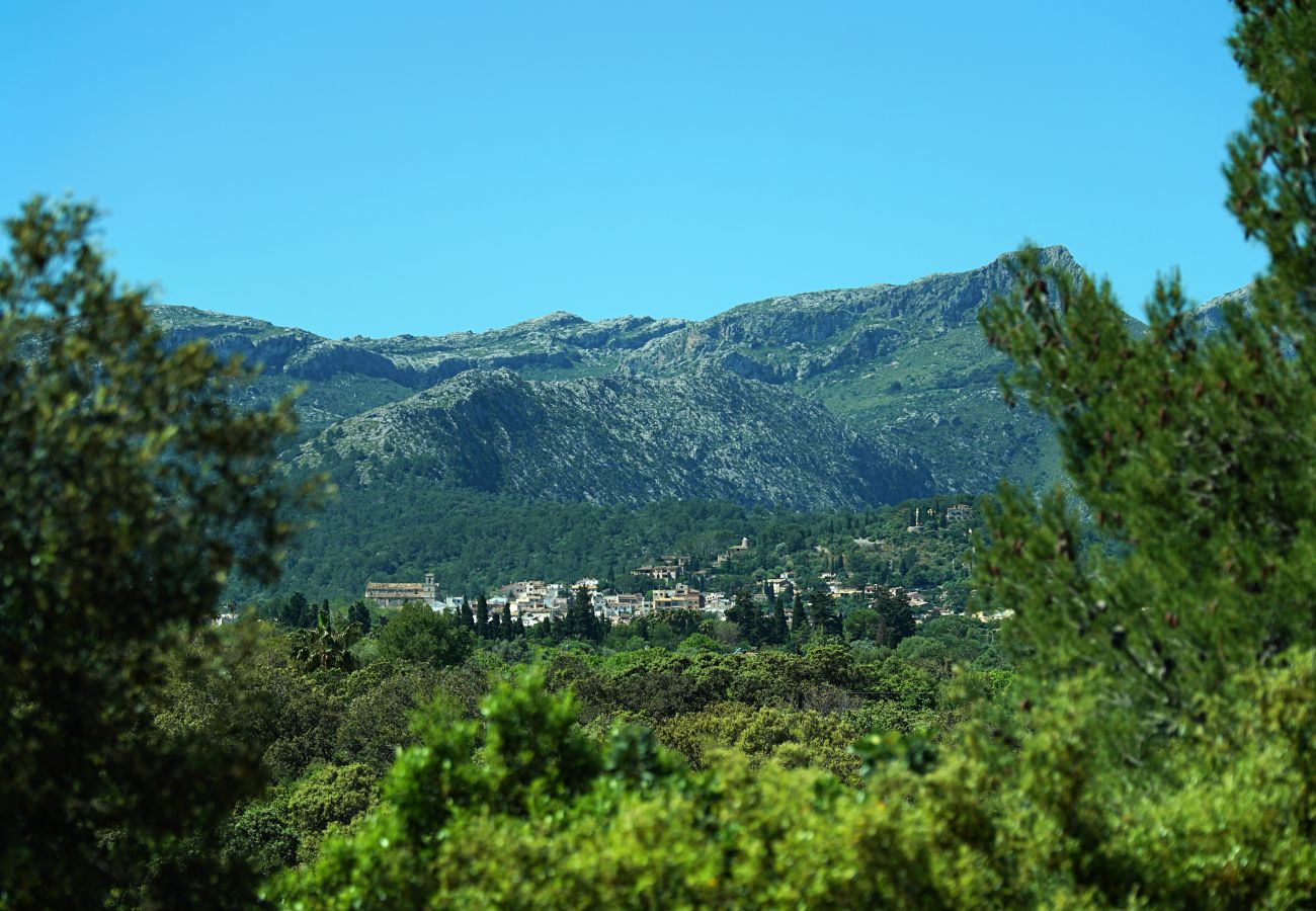 Villa in Pollensa - Casa Oliver