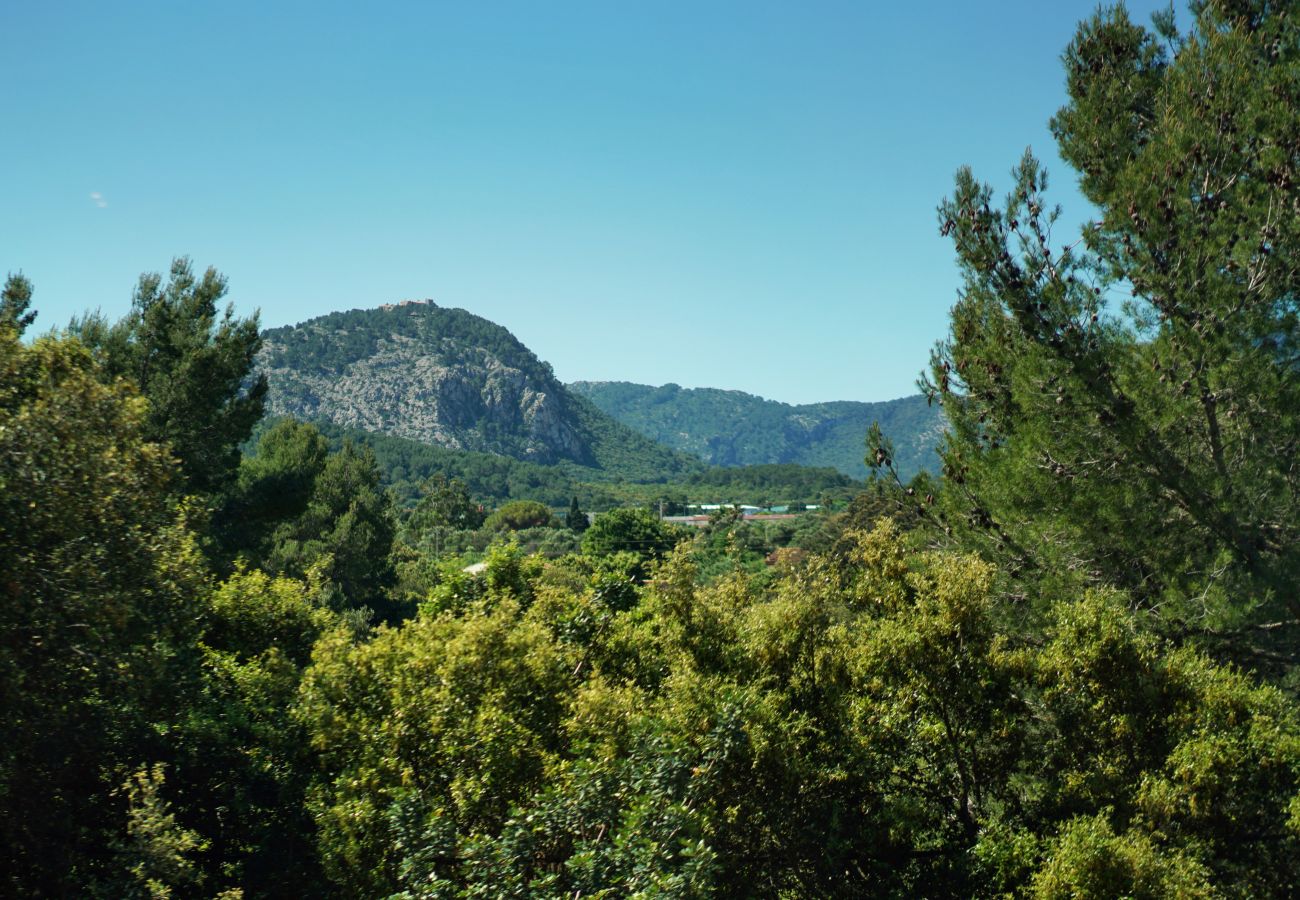 Villa in Pollensa - Casa Oliver