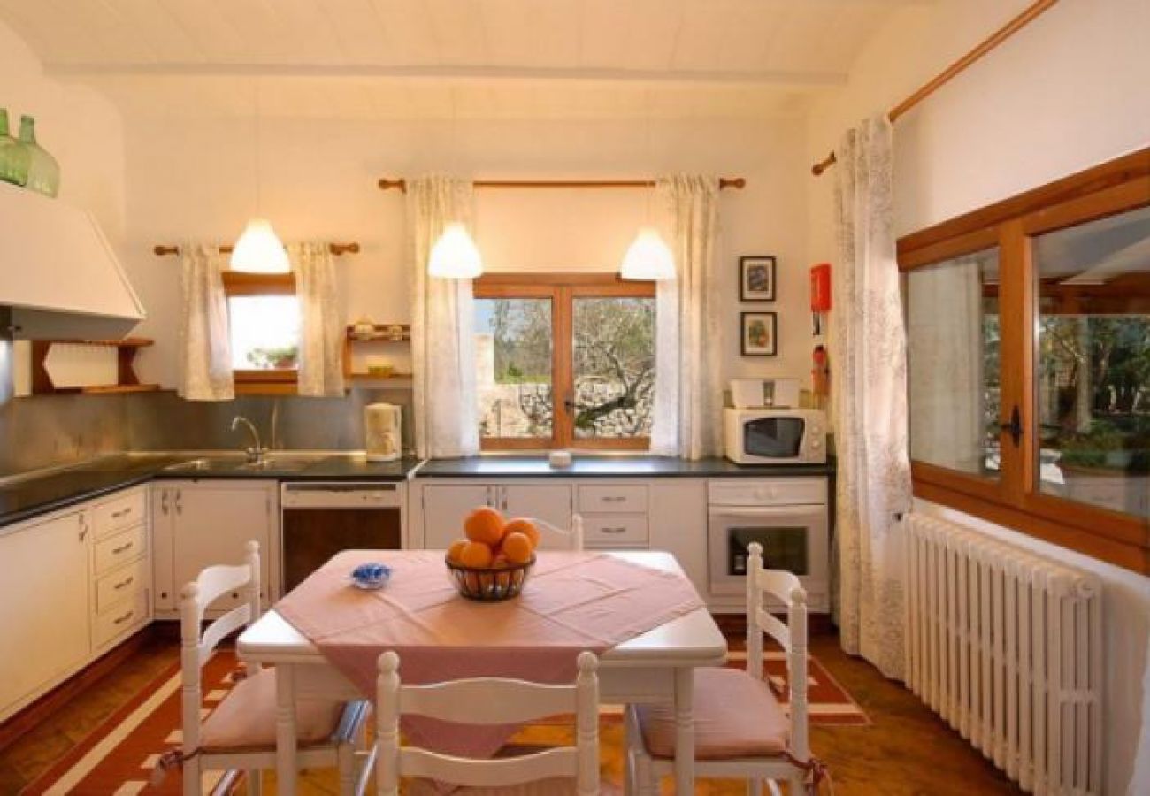 Villa in Pollensa - La Vinyeta