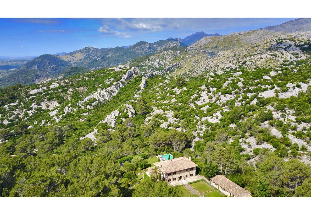 Villa in Pollensa - Can Tramuntana