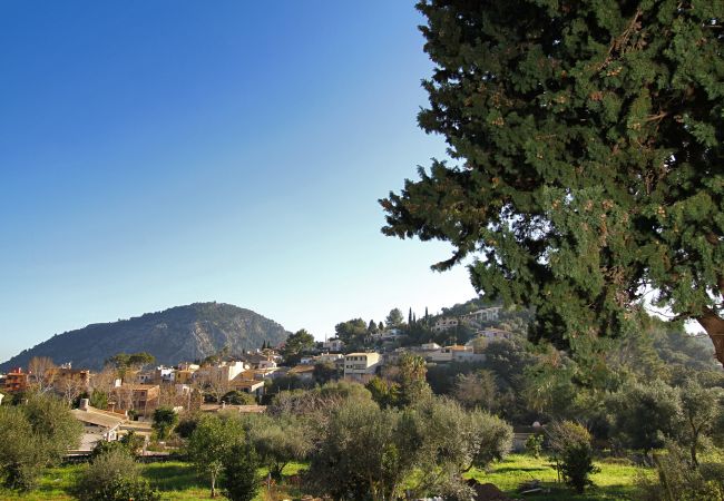 Villa in Pollensa - Villa Antigua Villa in Pollensa - Villa Antigua