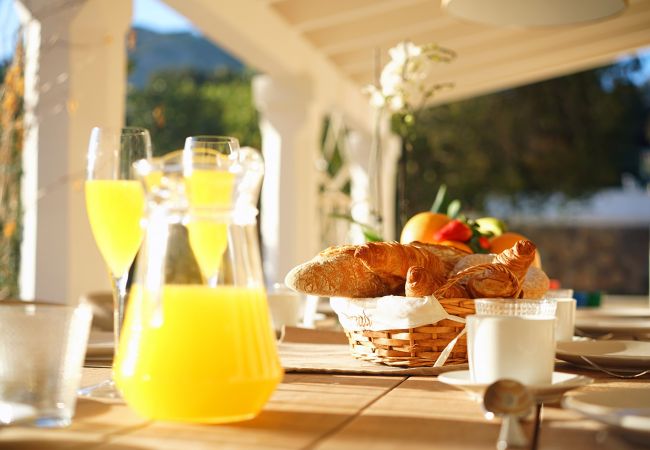 Villa in Pollensa - Villa Antigua Villa in Pollensa - Villa Antigua