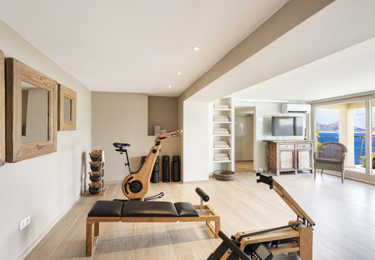 Villa in Andratx - Villa Mimosa