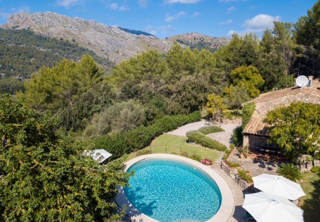 Villa in Pollensa - Can Picassa Tafona