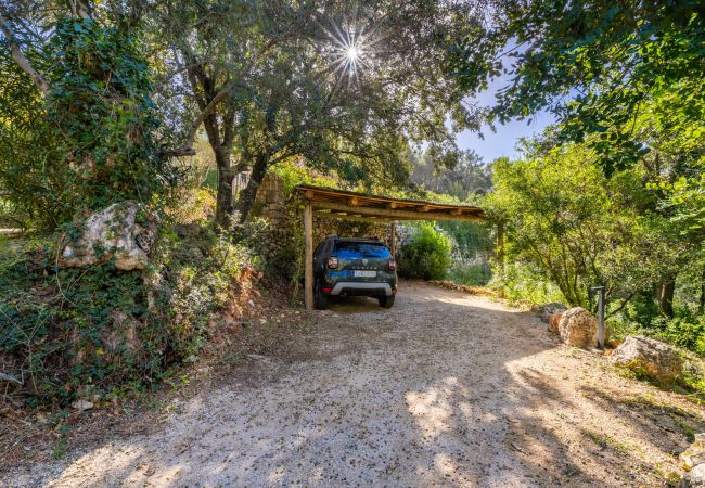 Villa in Pollensa - Can Picassa Tafona Villa in Pollensa - Can Picassa Tafona