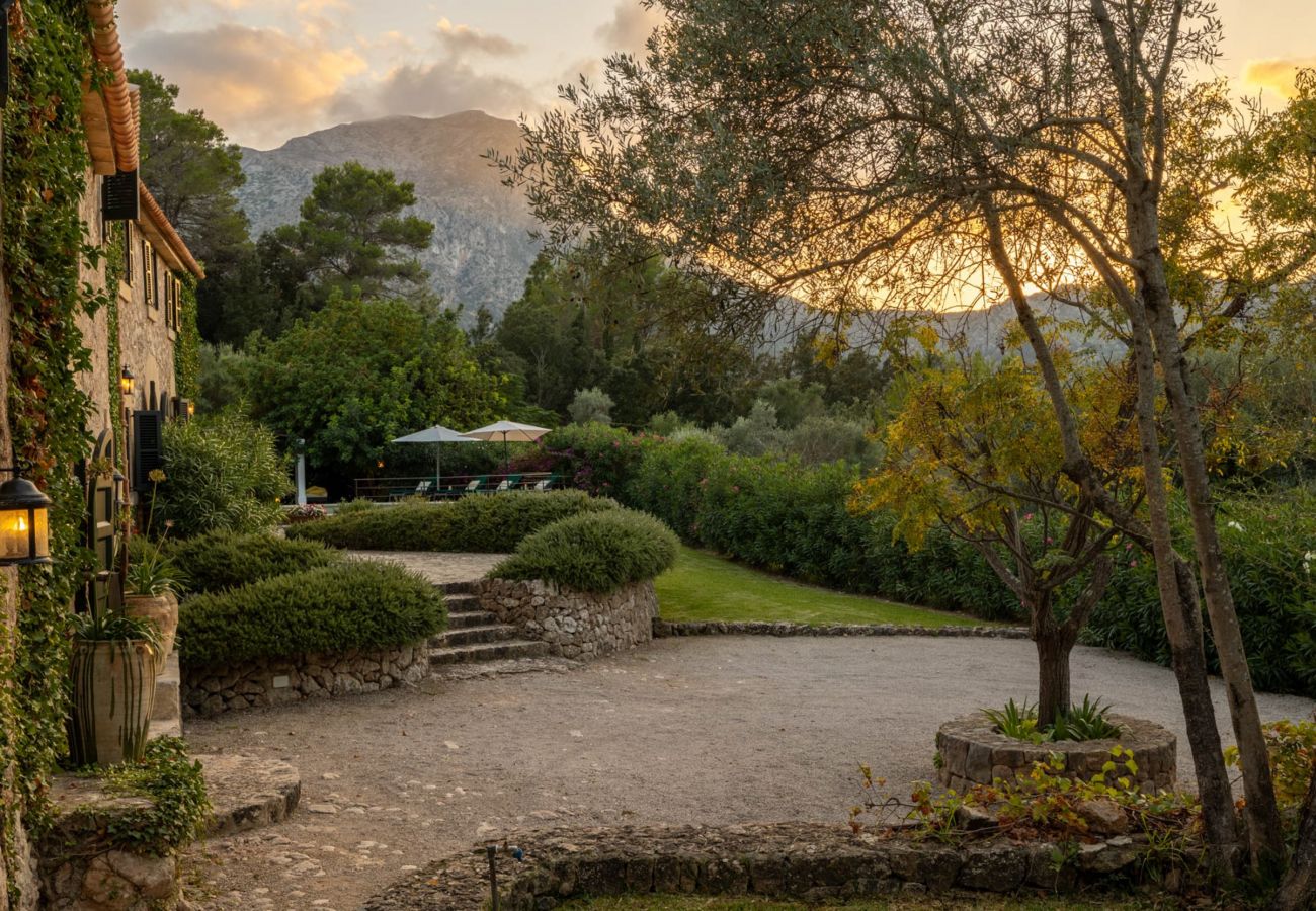 Villa in Pollensa - Can Picassa Tafona