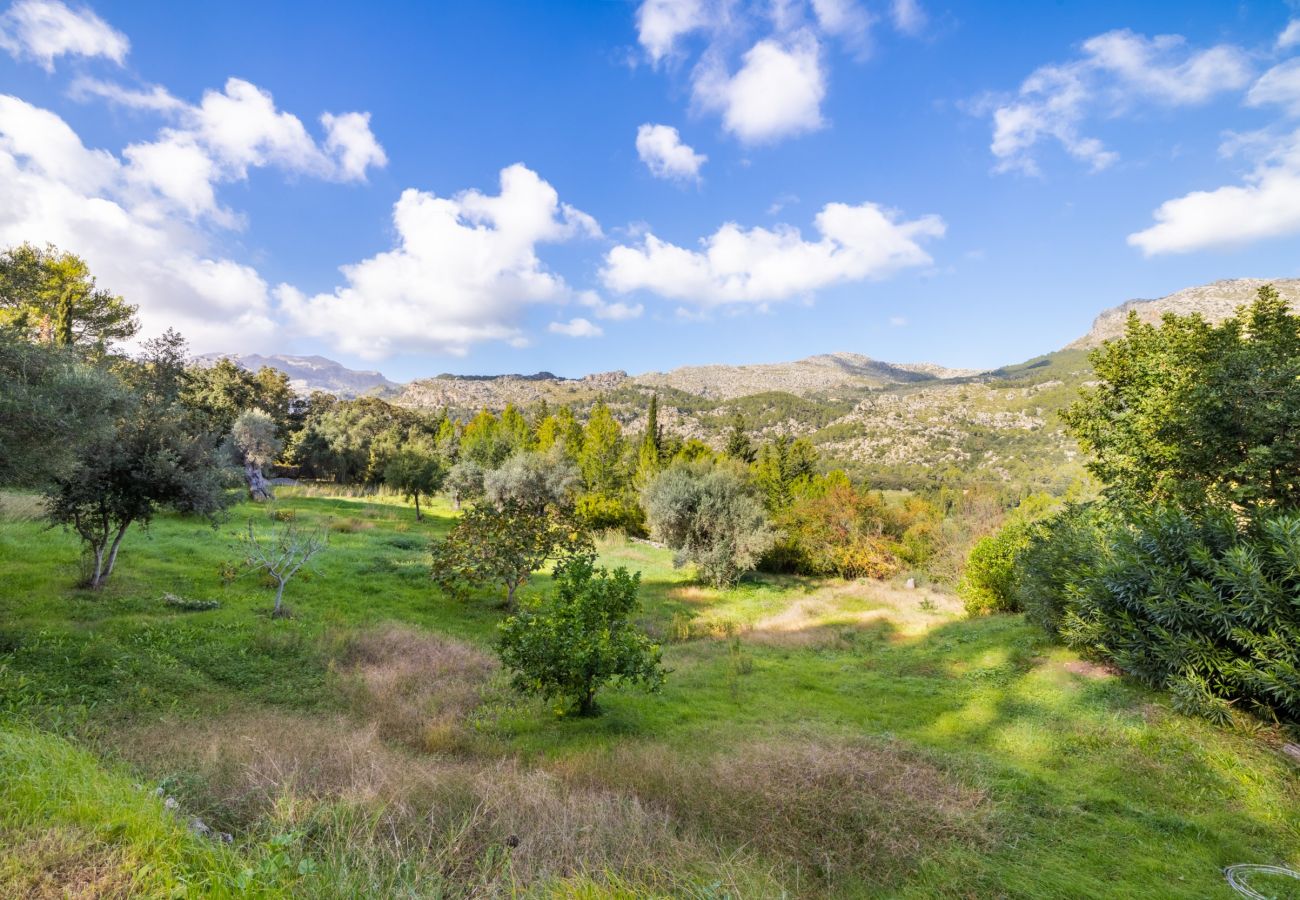 Villa in Pollensa - Can Picassa Tafona