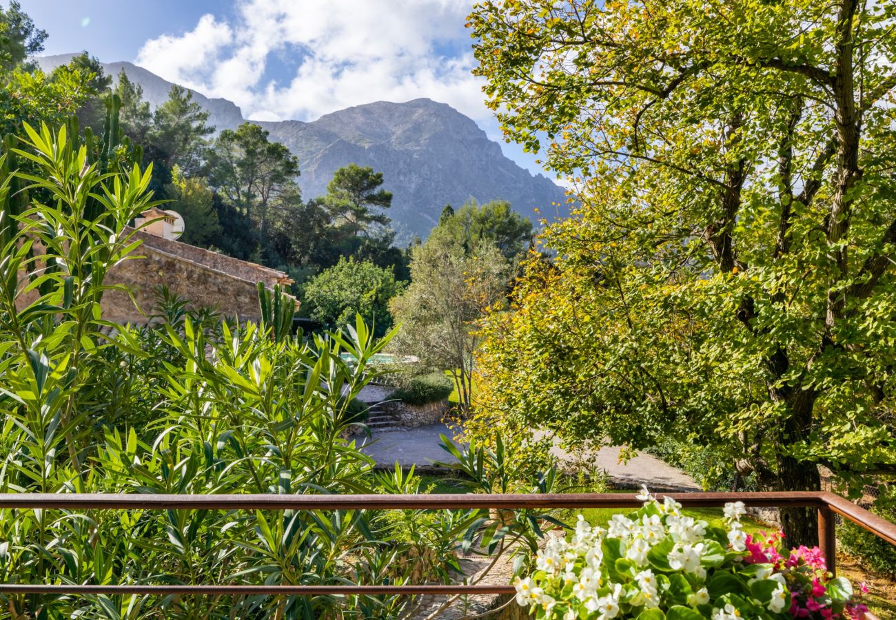 Villa in Pollensa - Can Picassa Tafona