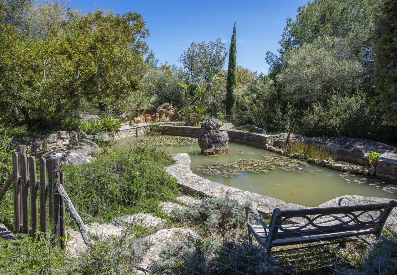 Villa in Pollensa - Villa Marina