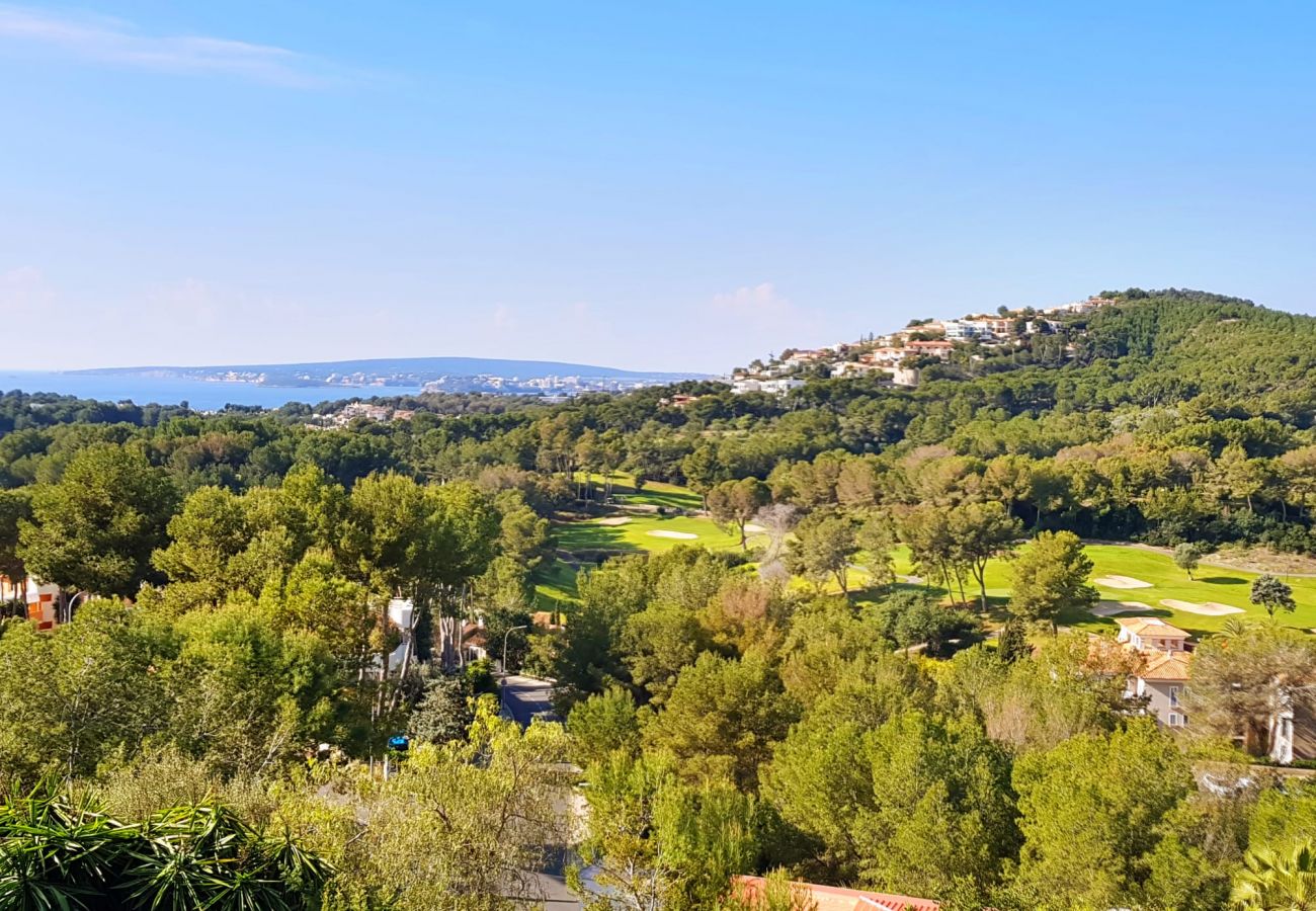 Villa in Calvià - Villa Spa Bendinat