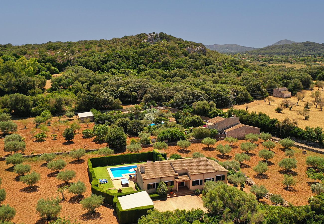 Villa in Pollensa - VIDRIER CAMPERO