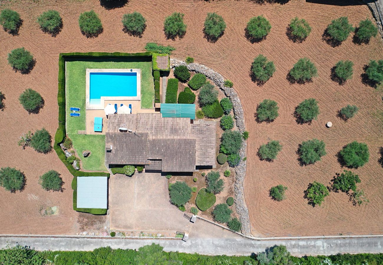 Villa in Pollensa - VIDRIER CAMPERO
