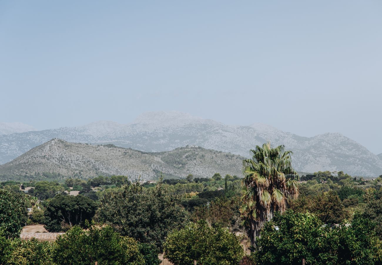 Villa in Llubi - La Finca de Llubi