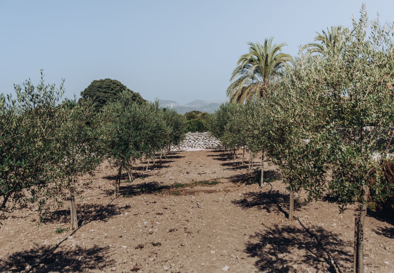 Villa in Llubi - La Finca de Llubi