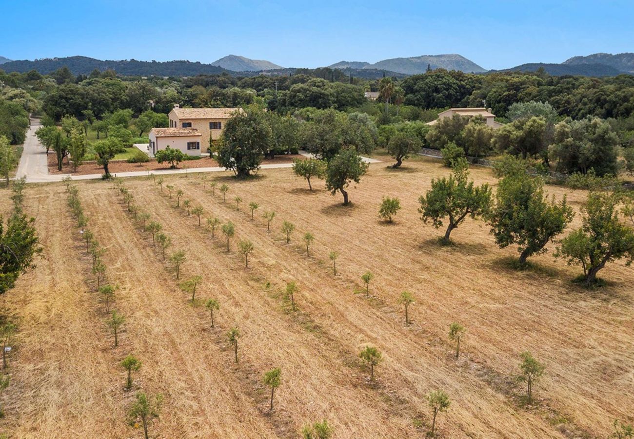 Villa in Pollensa - Can Pelut