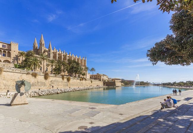 Terraced House in Palma  - Miquel Santandreu Palma Terraced House in Palma  - Miquel Santandreu Palma