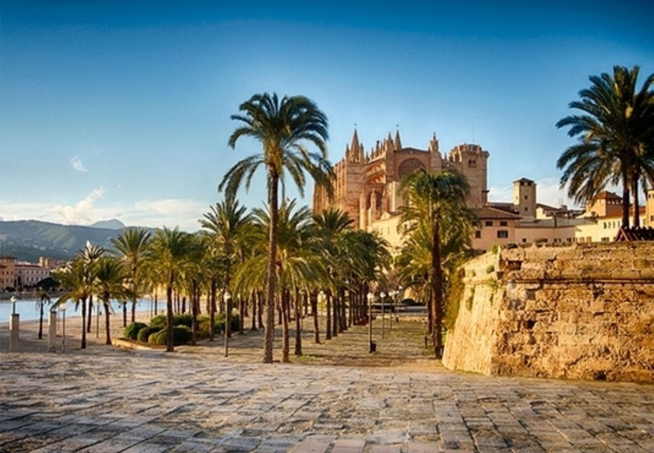 Townhouse in Palma  - Miquel Santandreu Palma