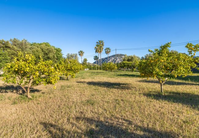 Villa in Pollensa - Can Corme Villa in Pollensa - Can Corme