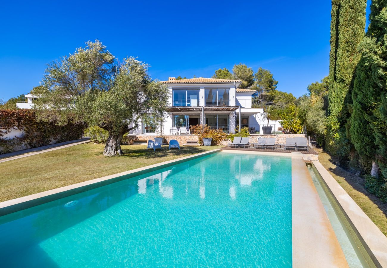 Villa in Pollensa - Villa Vista