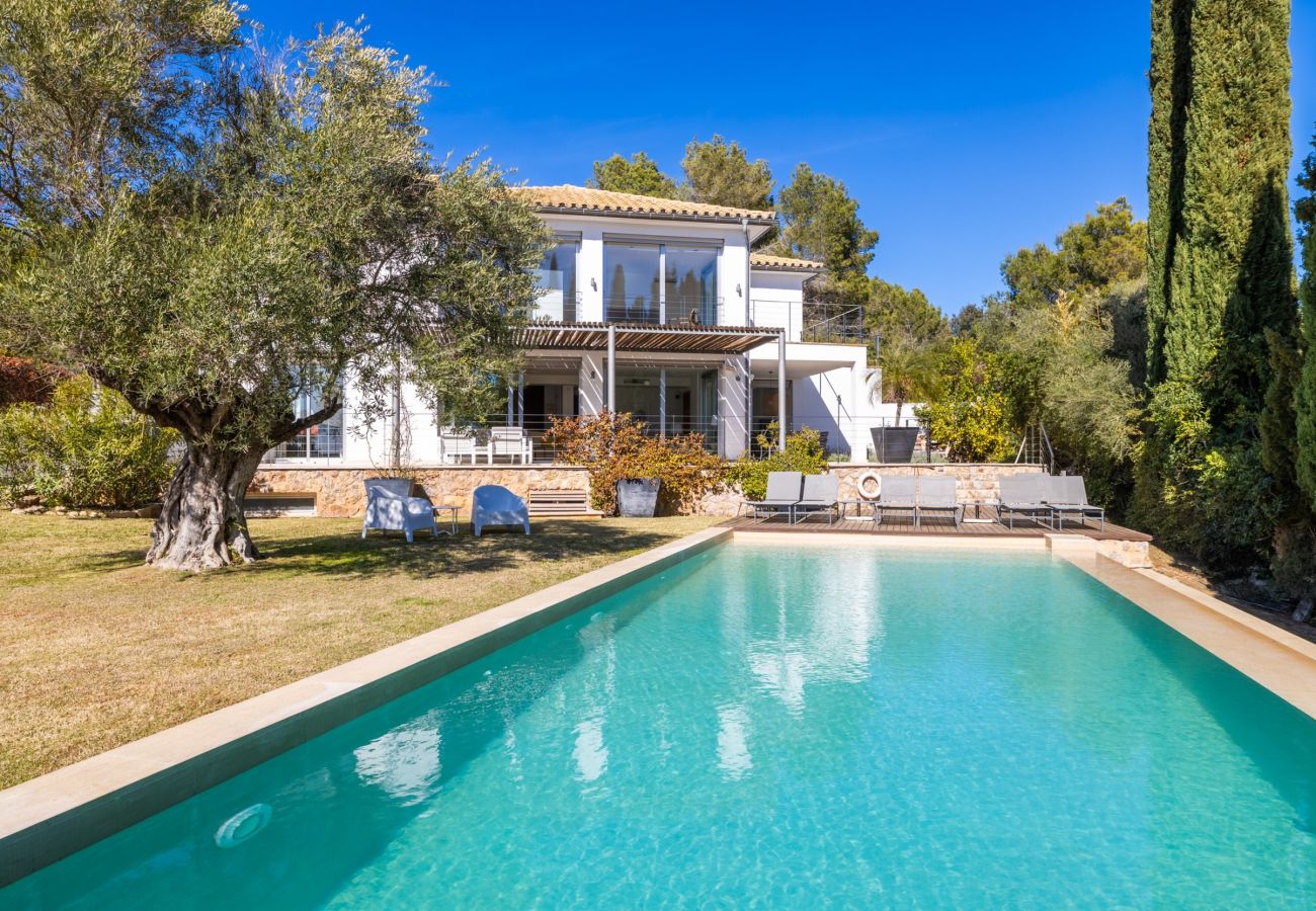 Villa in Pollensa - Villa Vista