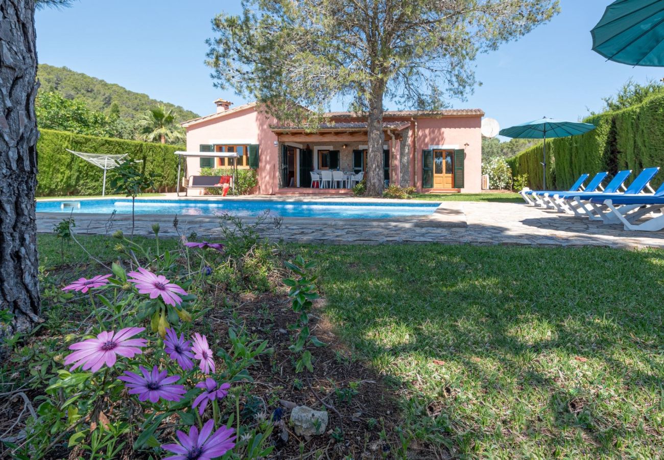 Villa in Pollensa - Villa Camarasa
