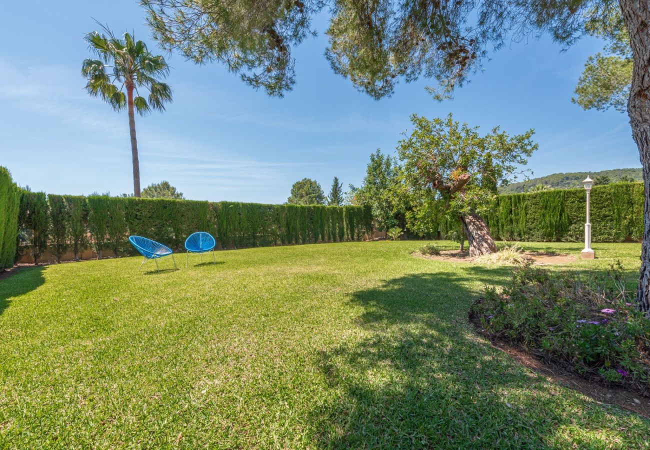 Villa in Pollensa - Villa Camarasa