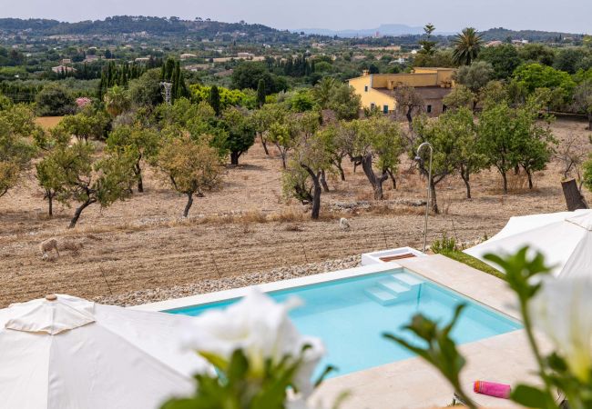 Villa in Selva - Sa Tanca Llarga Selva Villa in Selva - Sa Tanca Llarga Selva