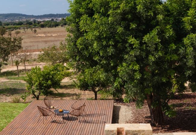 Terraced House in Consell - Can Muntanya 30 Terraced House in Consell - Can Muntanya 30