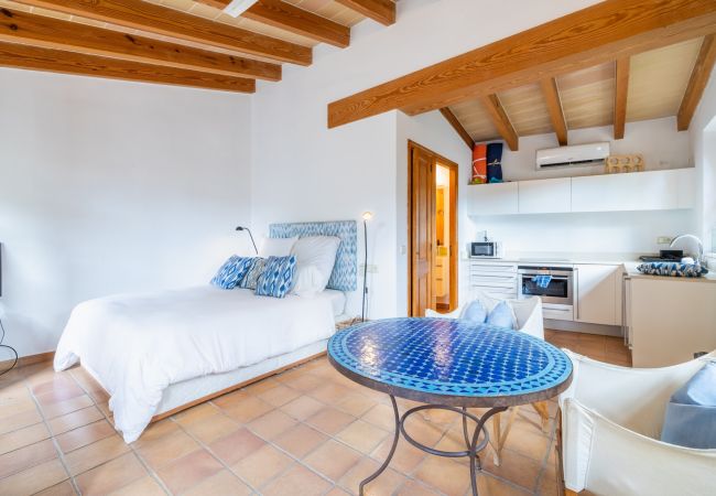 Villa in Pollensa - NEW! Can Picassa Tafona Villa in Pollensa - NEW! Can Picassa Tafona