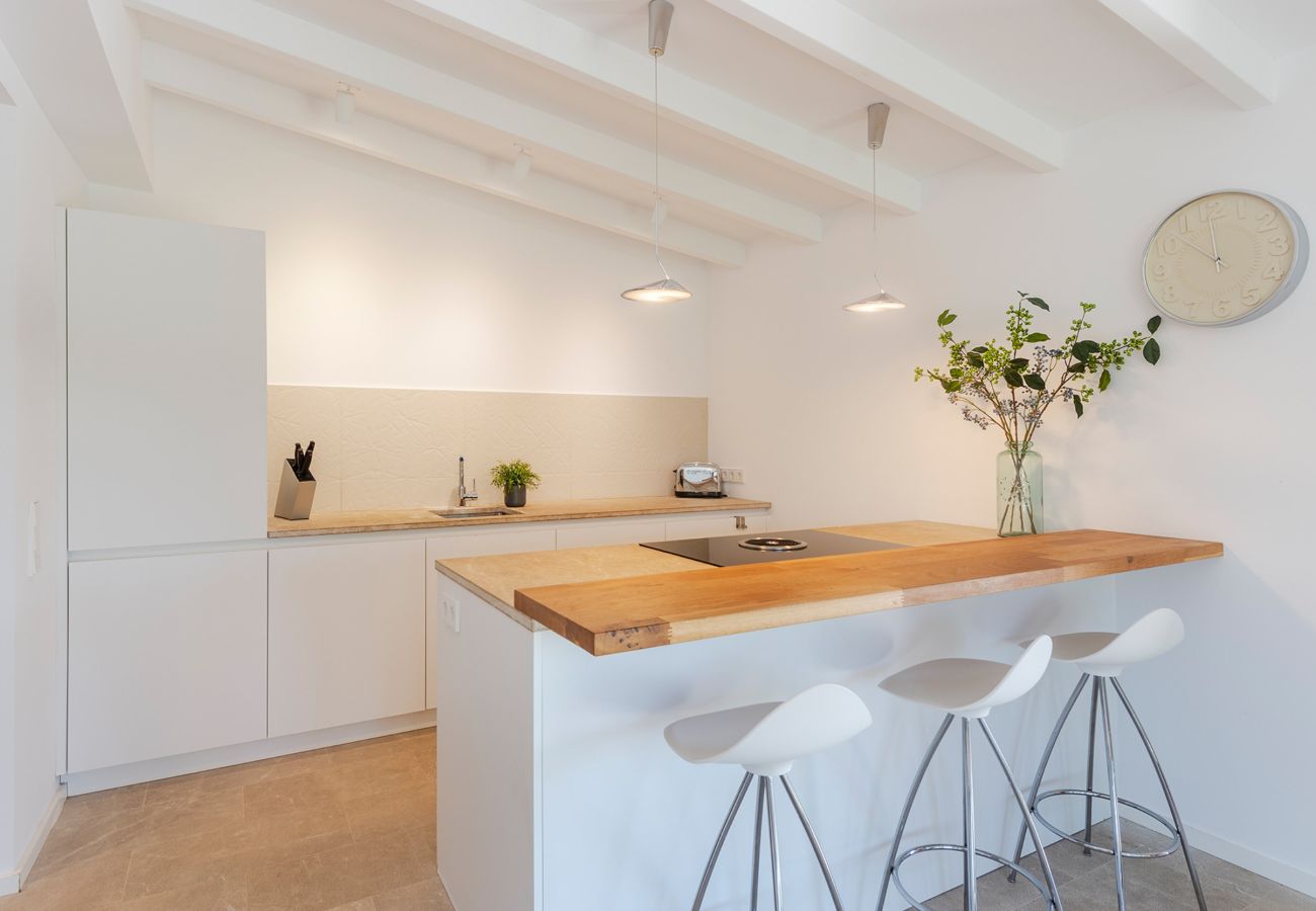 Villa in Pollensa - Can Collet