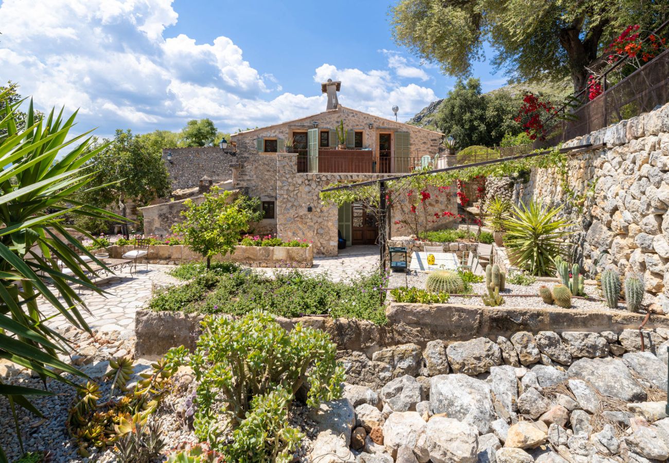 Villa in Pollensa - Villa Can Suau