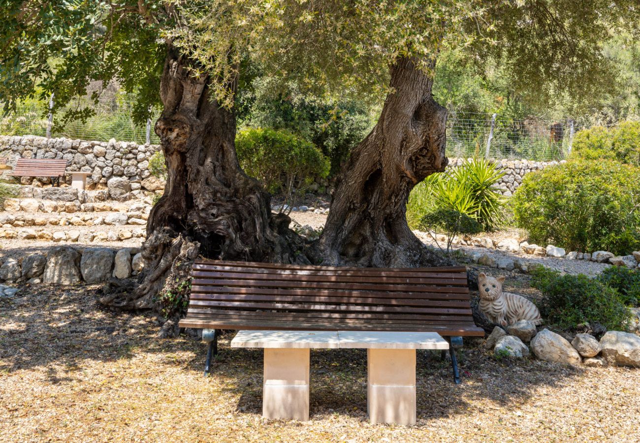 Villa in Pollensa - Villa Can Suau